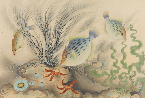 『大日本魚類畫集』第1輯第9回《カワハギ》1938年　姫路市立美術館蔵