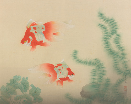 《金魚》 絹本彩色	制作年不詳　個人蔵